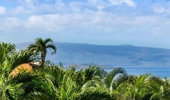 3878 Wailea Ekolu Pl, Kihei, HI 96753