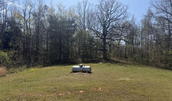1267 CR 115, Blue Mountain, MS 38619