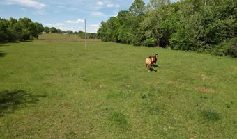 12459 County Road 5-402, Ava, MO 65608