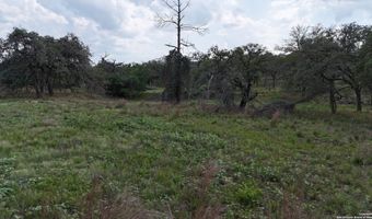 1228 Morning Glory Ln, Adkins, TX 78101