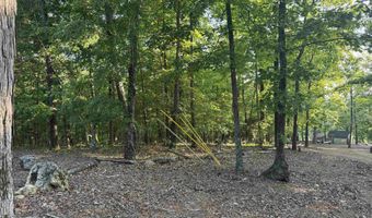0 DAVIS ACRES Dr 72 & 73, Alpine, AL 35014