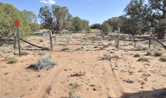 176 CR N5549, Concho, AZ 85924