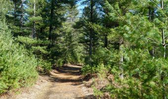 5840 Wildwood Rd, Alger, MI 48610