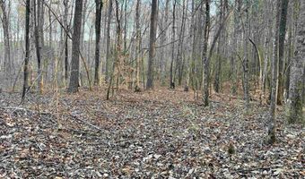00007 SPRINGHOLLOW Rd Lot 7, Ashville, AL 35953