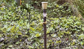 0 Thorn Hill Rd 406/22, Bethlehem, NH 03574