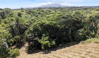 62 HOOLAWA Rd B, Haiku, HI 96708
