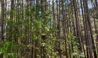 272 Church Camp Rd, Bishopville, SC 29010