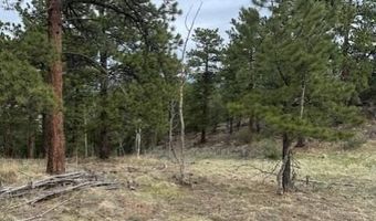 Mockingbird Trail, Bailey, CO 80421