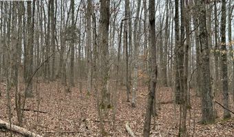 DOHERTY STORE RD, Big Sandy, TN 38221