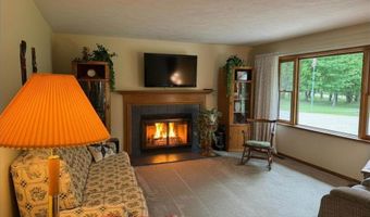 6955 Cedar, Alanson, MI 49706