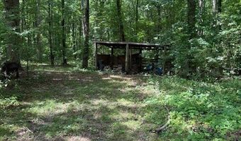 410 N Sharp Mountain Church Ln, Ball Ground, GA 30107