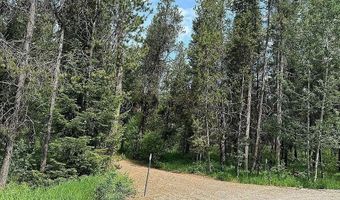 1597 Annies Lndg, Ashton, ID 83420