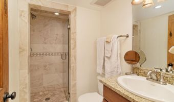 630 E Cooper Ave 1, Aspen, CO 81611
