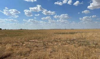 4111 County Road 5300, Abernathy, TX 79311