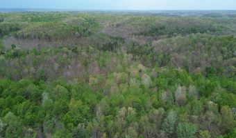 566 A Tunnel Ridge Rd, Argillite, KY 41121
