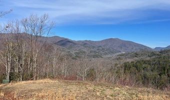 Lot 7 Serenity Ridge Trail, Andrews, NC 28901