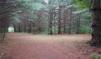 6 Xx US Highway 8, Apple River, WI 54001