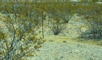 4755 Gold Butte Rd, Bunkerville, NV 89007