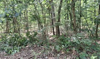 4370 Macdougall Dr, Allegan, MI 49010