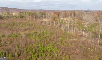 Apple Pie Ridge unit Tract One Tract One, Alto, GA 30510