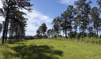 0 S County Road 33, Ashford, AL 36312