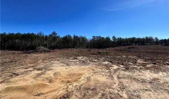 1 Mixon Rd, Amite, LA 70422