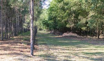 NW 41st Cir, Bell, FL 32619