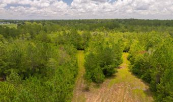 Val Del Road, Adel, GA 31620