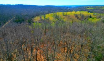 17529 St Highway U, Ava, MO 65608