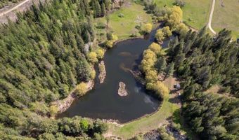 784 Twin Rivers Rd, Athol, ID 83801