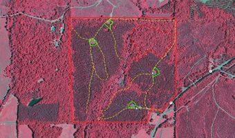 Hwy 9, Bruce, MS 38915