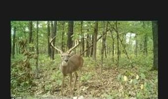 1307 Route Af, Ava, MO 65608