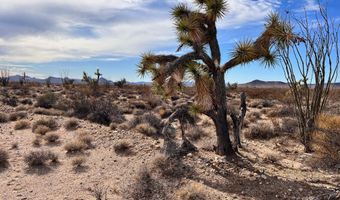 Lot 166 Lake Havasu Acres, Yucca, AZ 86438