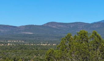 Stagecoach Dr 47 Acres, Ash Fork, AZ 86320