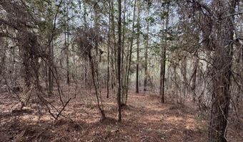 259 Forest Lake Rd, Beaumont, MS 39423