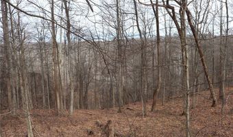 Route 12 Road, Alum Creek, WV 25003