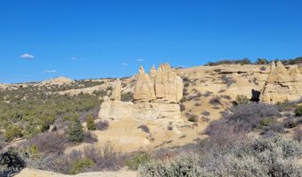663 HAMPTON CANYON Rd, Aztec, NM 87410