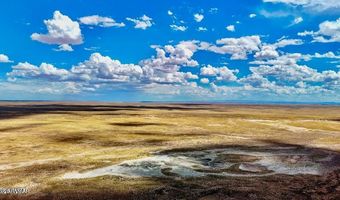 Co Rd N7012 40 Acres, Chambers, AZ 86502