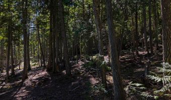 Swan Shores Lane, Bigfork, MT 59911