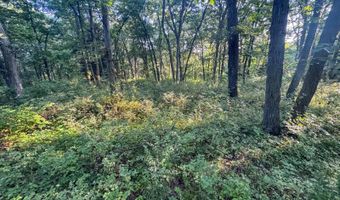 625 Th Ave, Albia, IA 52531