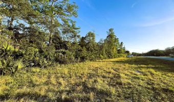 0 SR-19, Altoona, FL 32702