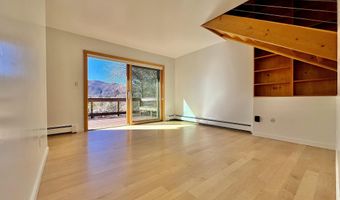 216 E Homestead Dr, Basalt, CO 81621