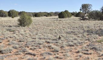 176 CR N5549, Concho, AZ 85924