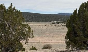 38 CR 8250, Concho, AZ 85924