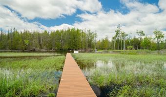 7170 Spring St, Alanson, MI 49706
