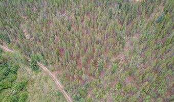 427 Wise Rd, Bailey, CO 80421