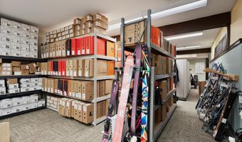 408 E Cooper Ave, Aspen, CO 81611