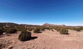 407 Texas Oak, Alpine, TX 79830