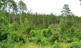 Lot 3 TBA MELITA RD 3, Arvonia, VA 23004