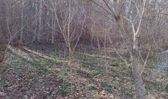 Toole Creek Road, Abingdon, VA 24210